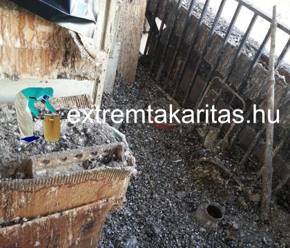 Galambürülék takarítás