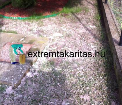 Szennyvíz és esővíz után