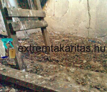 Galambszar takarítás fertőtelnítés templomtoronyban